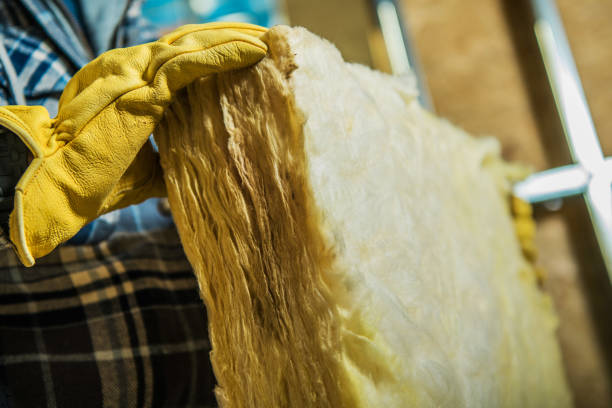 Best Insulation for Specific Applications in Cienegas Terrace, TX