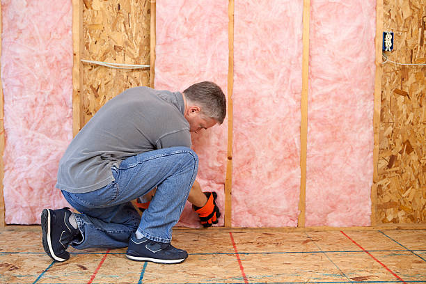 Best Residential Insulation in Cienegas Terrace, TX